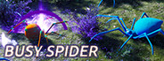 busy spider
