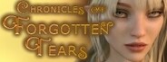 Chronicles of Forgotten Tears