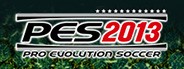 Pro Evolution Soccer 2013