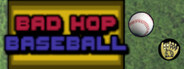 Bad Hop Baseball