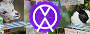 AVOlight.Space (Multiple Video Players)