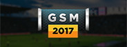 Global Soccer: A Management Game 2017