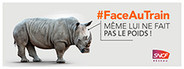 Face au train