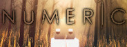 NUMERIC